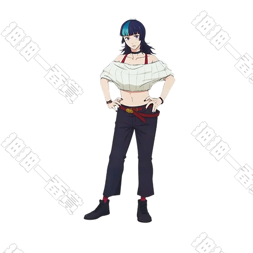 日版 星綺羅羅 大型壓克力立牌