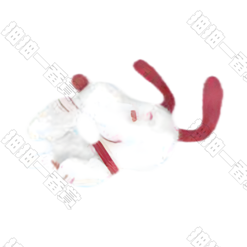 玩耍小比(默認拆袋)